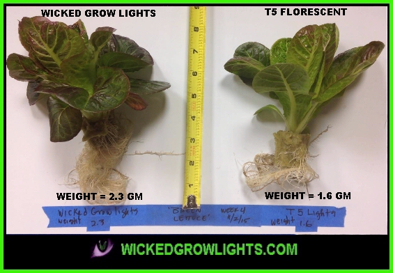 led grow lights hydroponic urban farming indoor gardening micro greens herbs 